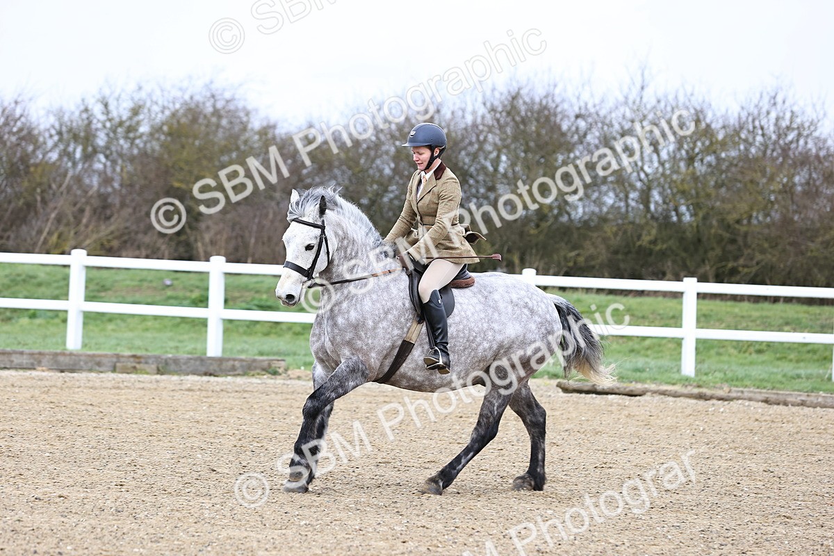 SBM_006946 - Class 29 - 30 - M&M Pure Novice Small-Large Breeds