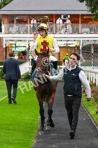 280723-Race 7-Knebworth-0820 - Race 7 8.20pm Sky Bet Go-Racing-In-Yorkshire Summer Festival Handicap