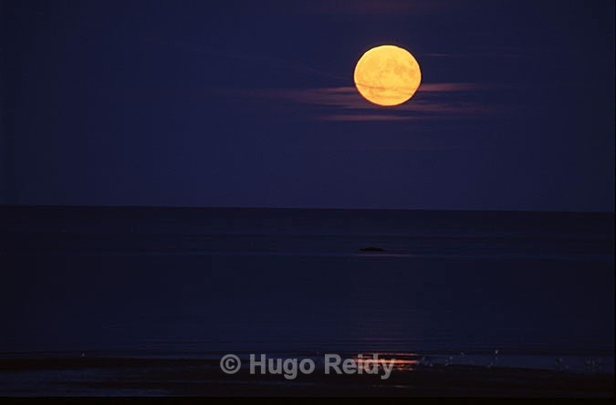  - Skerries