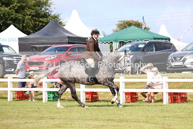 3E7A8848 - Class 3: Rising Star S/L Hunter