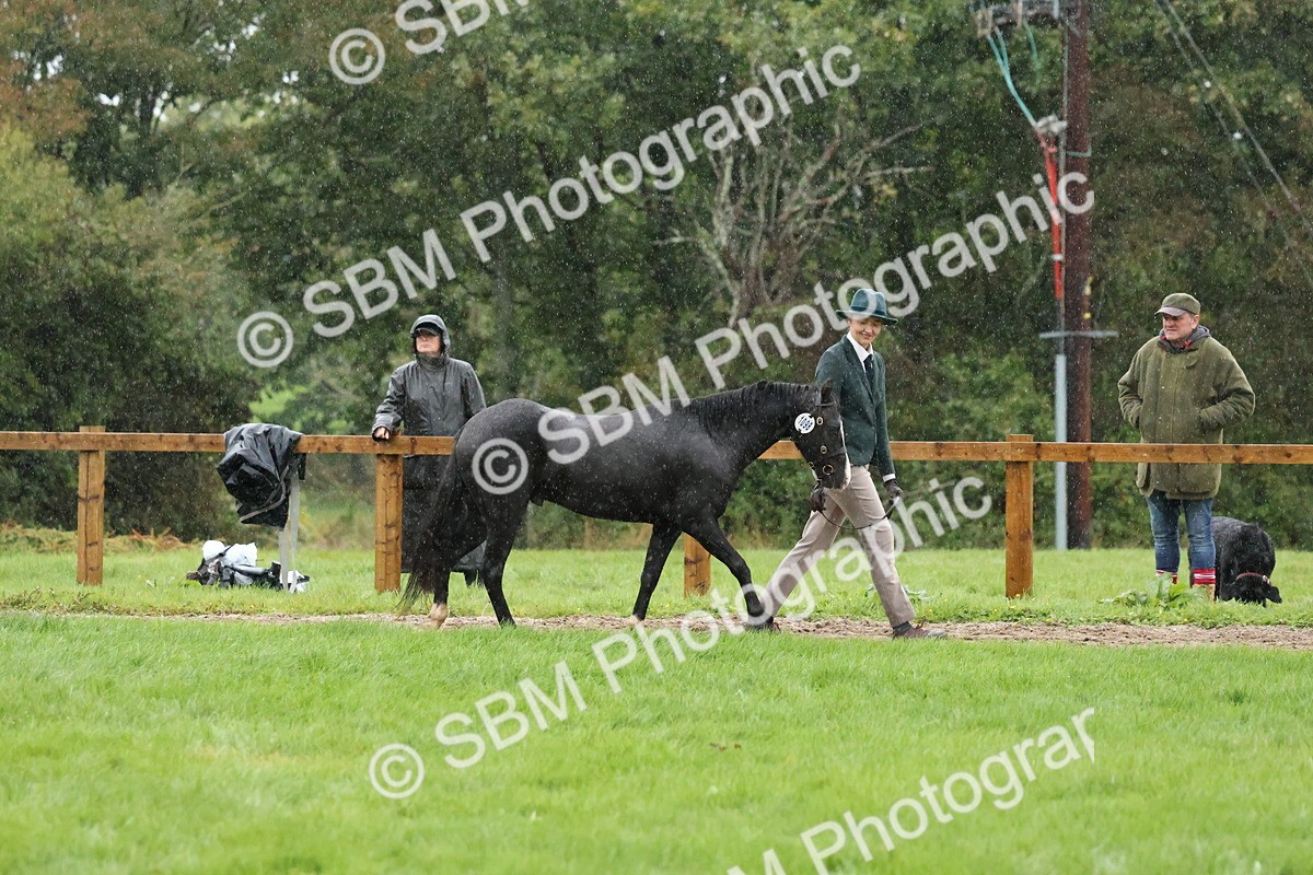 SBM_35337 - S10 - Best In Hand Horse & Pony