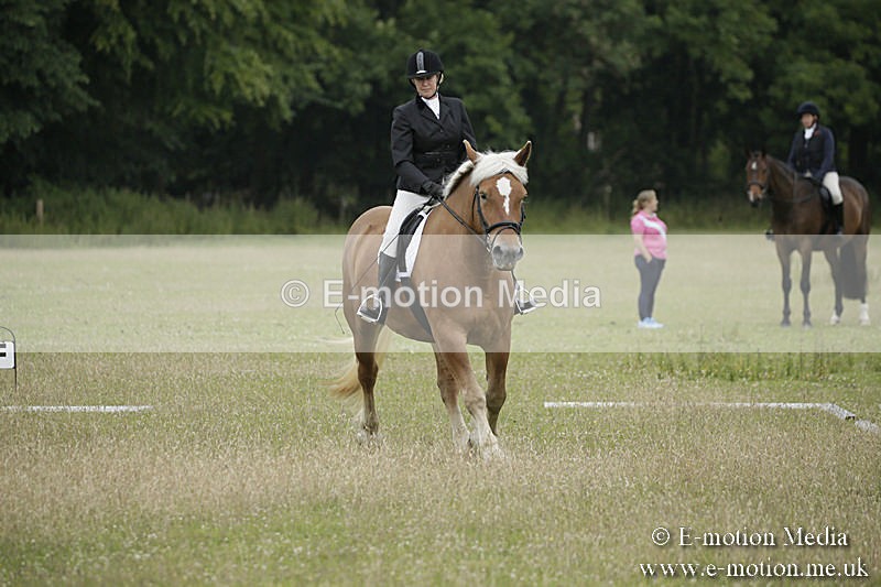 B230619-0016 - Bourne Valley Riding Club Summer Show 23/06/19