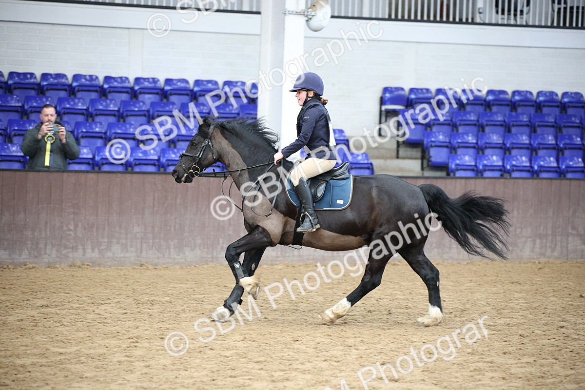 SBM_000417 - Class 3 - 60cm