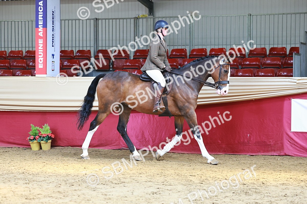 SBM_23888 - Class 905 - Supreme Final - Ridden Veteran