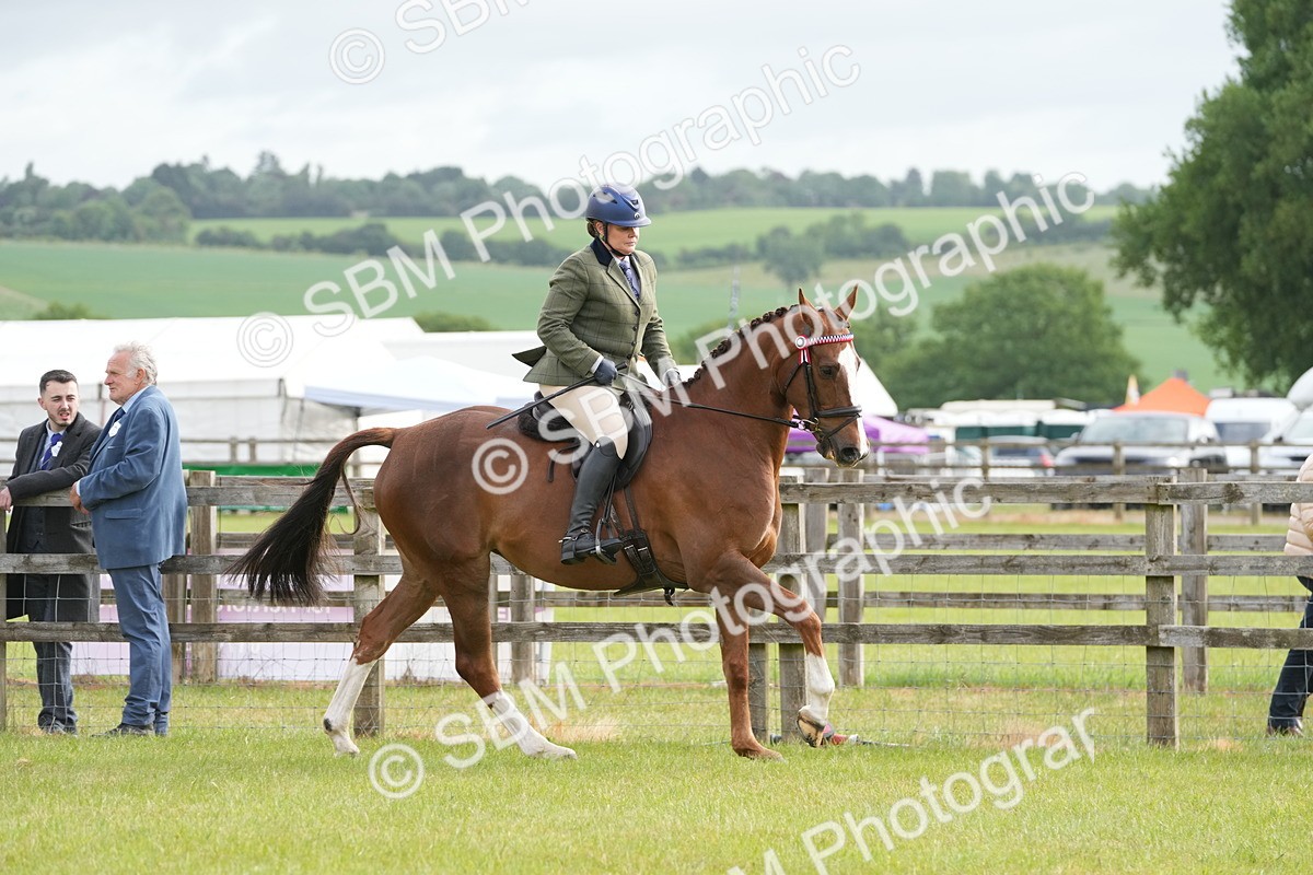 SBM_10576 - Class 97-98 - LIHS BSHA Rising Star Working Show Horse Hunter