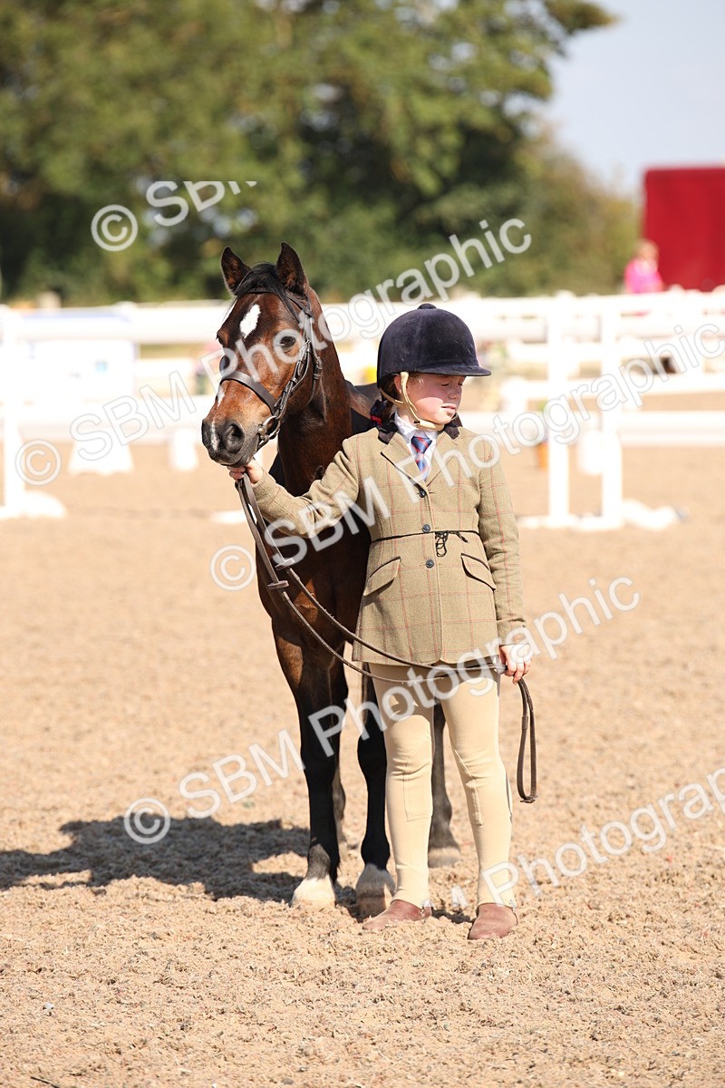 SBM_02732 - Class 16 IH M&M Wildcard