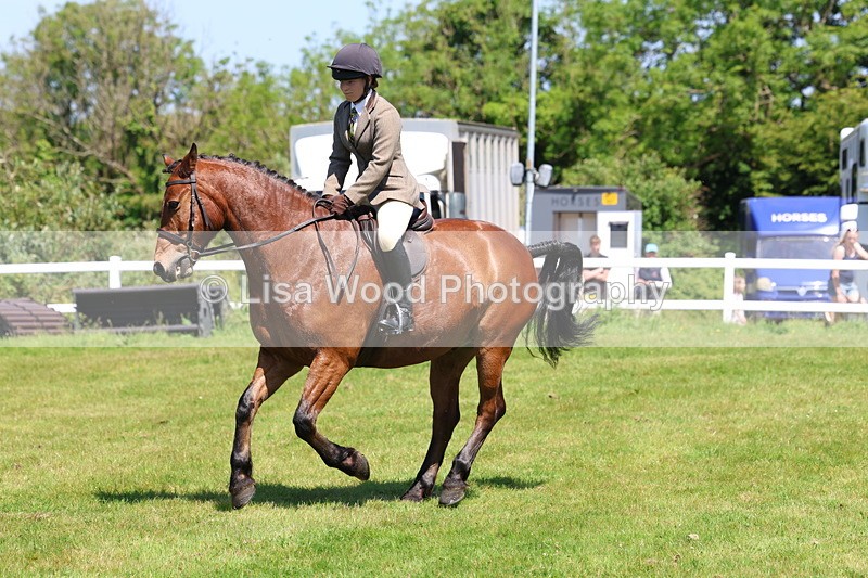 3E7A7238 - Class 30: Novice Working Hunter