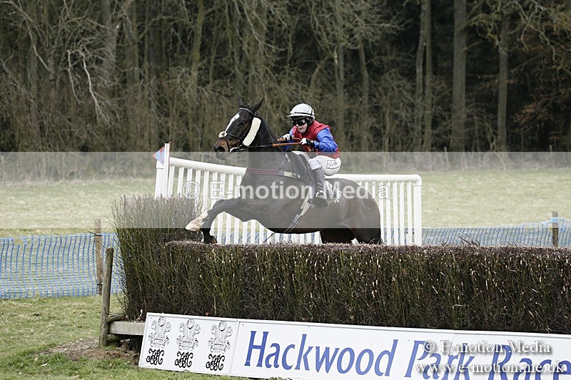 PtP 110318 172 - Hampshire Hunt Point-to-Point Hackwood Park 11/03/18