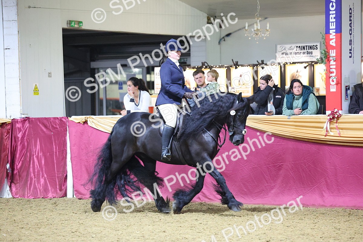 0B8A4674 - Class R Working Veteran Champ