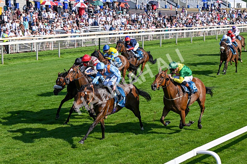 100726-Race 6-Ziggys Triton-0408 - Race 6 17.05pm William Hill Keep Your Raceday Positive Handicap