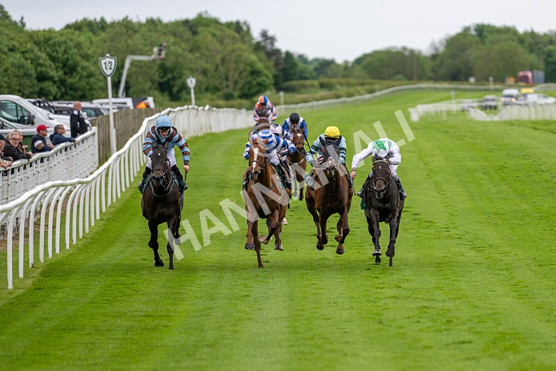 230524-Race 3-See The Green-1557 - Race 3