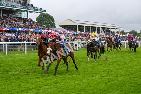 130724-Race 5-East Tyrone-7603 - Race 5 4.15pm John Smith's Nursery Handicap