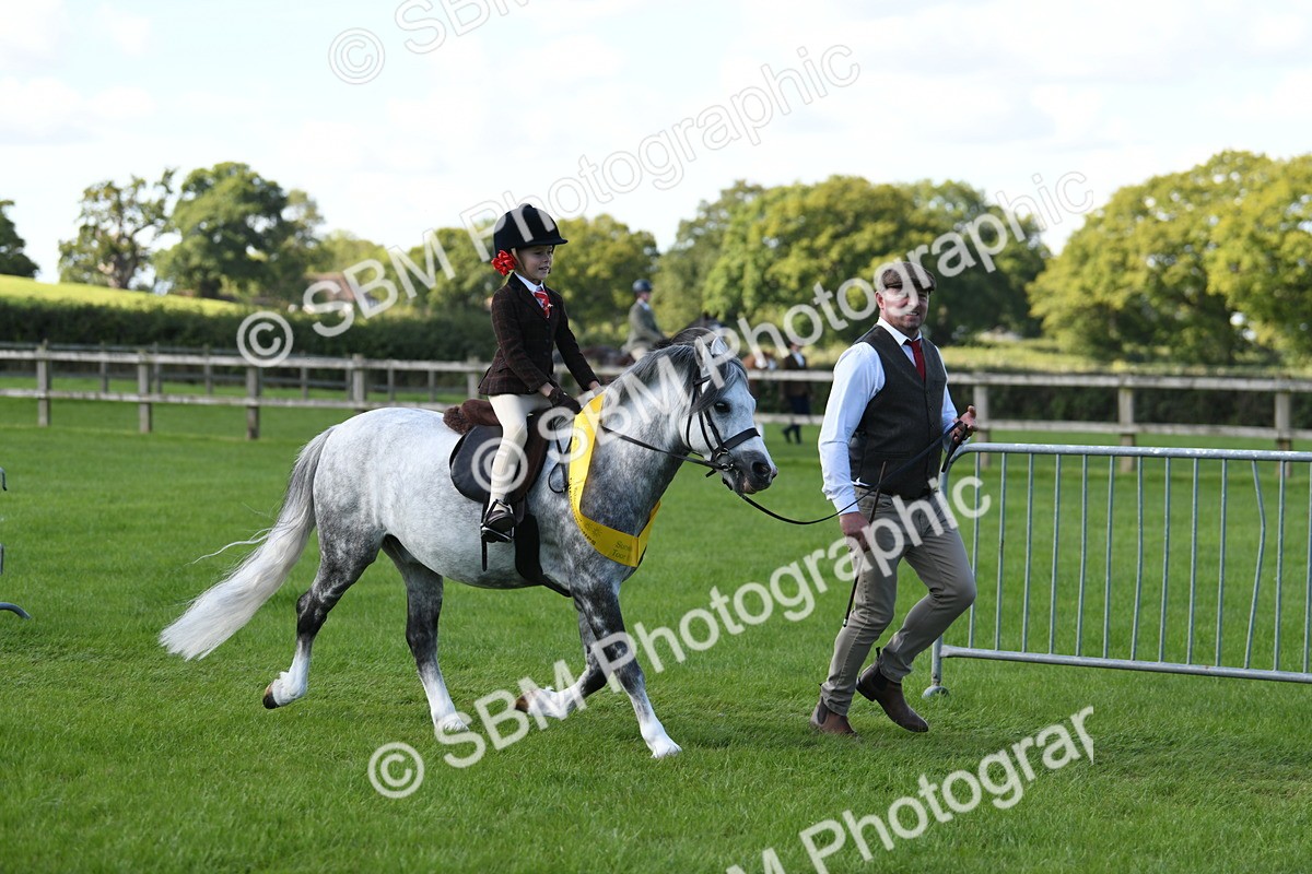 SBM_39701 - S18 - Novice & Newcomers Lead Rein Pony