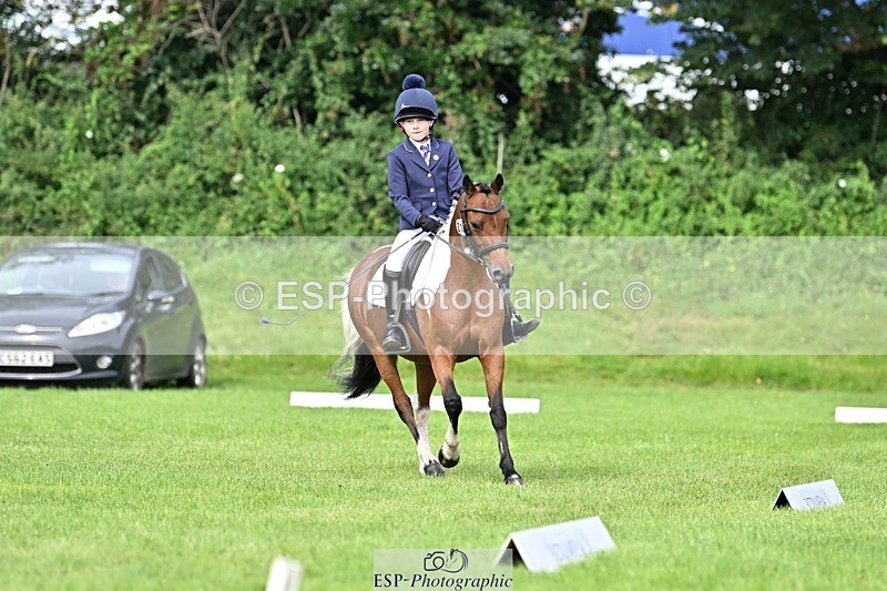 230826-103110-16559 - Sections A & B 10 to End