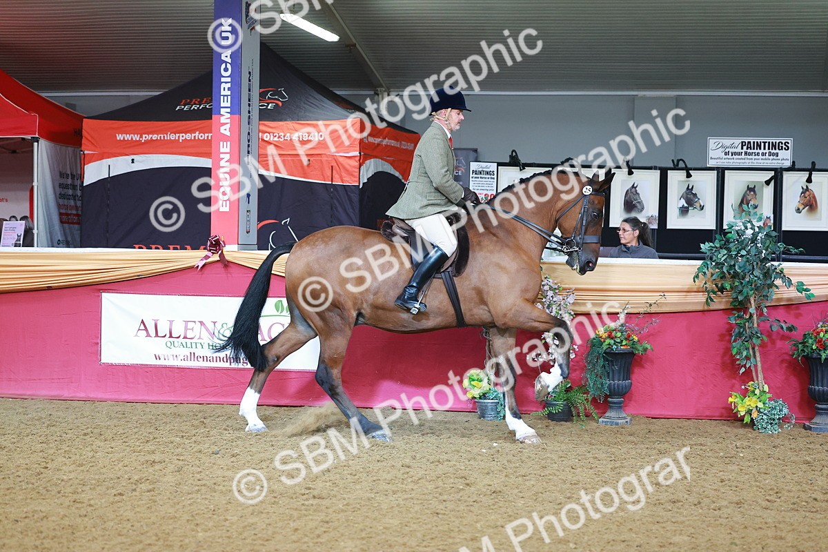 SBM_07624 - Class 101 - HOYS Veteran Qualifier - Ridden Diamond