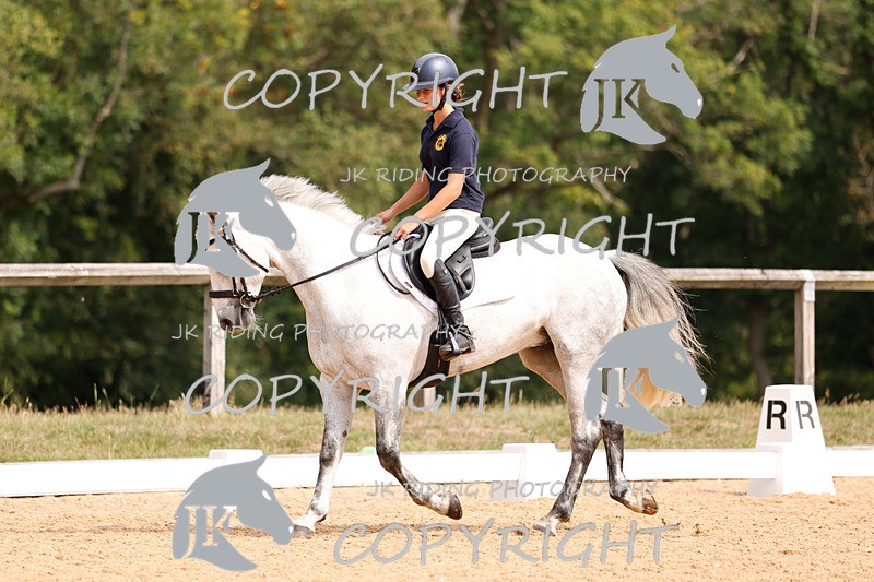 _R6A2760 - Dressage Morning