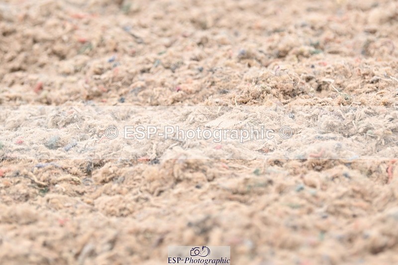 ESP_1412 - Cls 51 BD Elementary 53