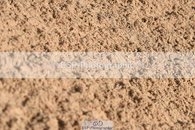 230906A-101250-00038 - British Novice & 90cm Open