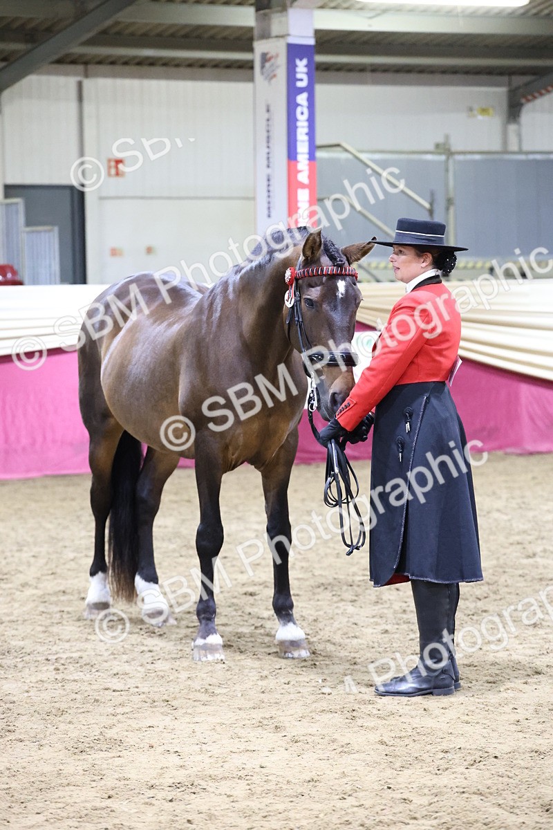 SBM_20731 - Class J - Foreign Breeds Champ