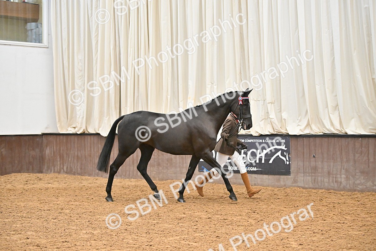 SBM_000219 - Class 7 - ROR Tattersalls In Hand