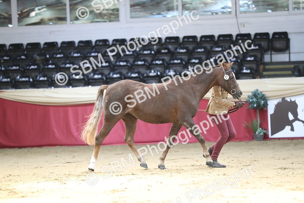 SBM_04308 - Class 7R Regional - IH Diamond