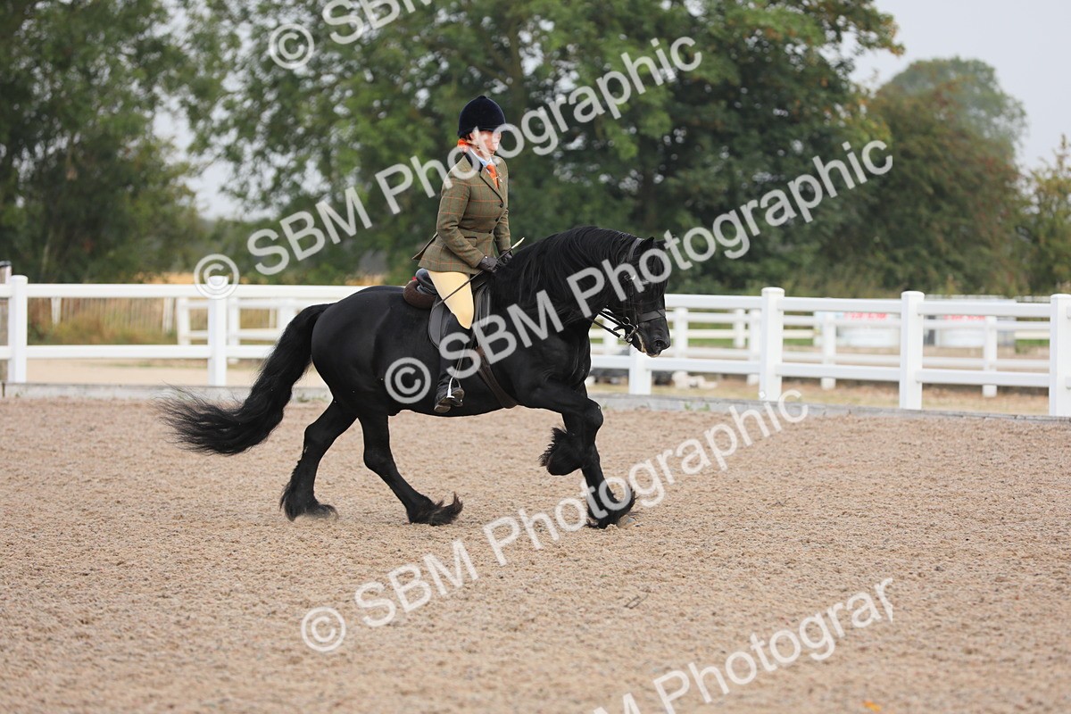 SBM_10006 - Class 302 Ridden M&M -Large Breeds