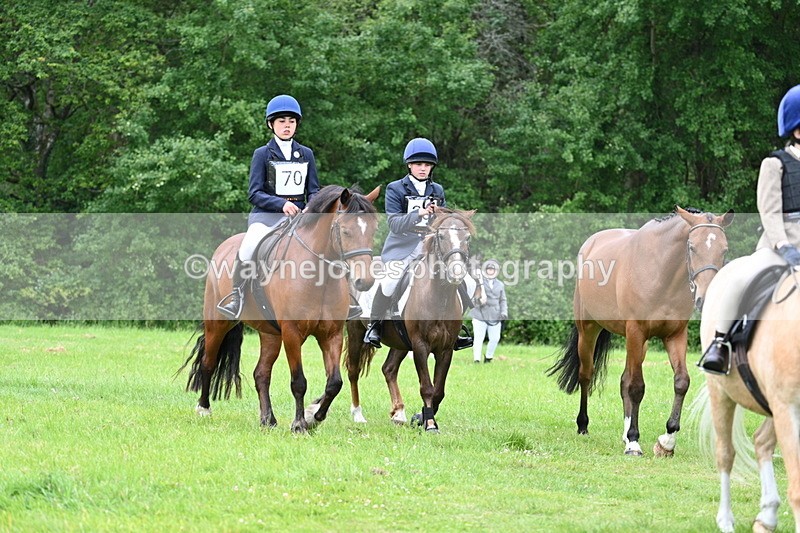 WJ7_4285 - Class 14A Handsome Gelding