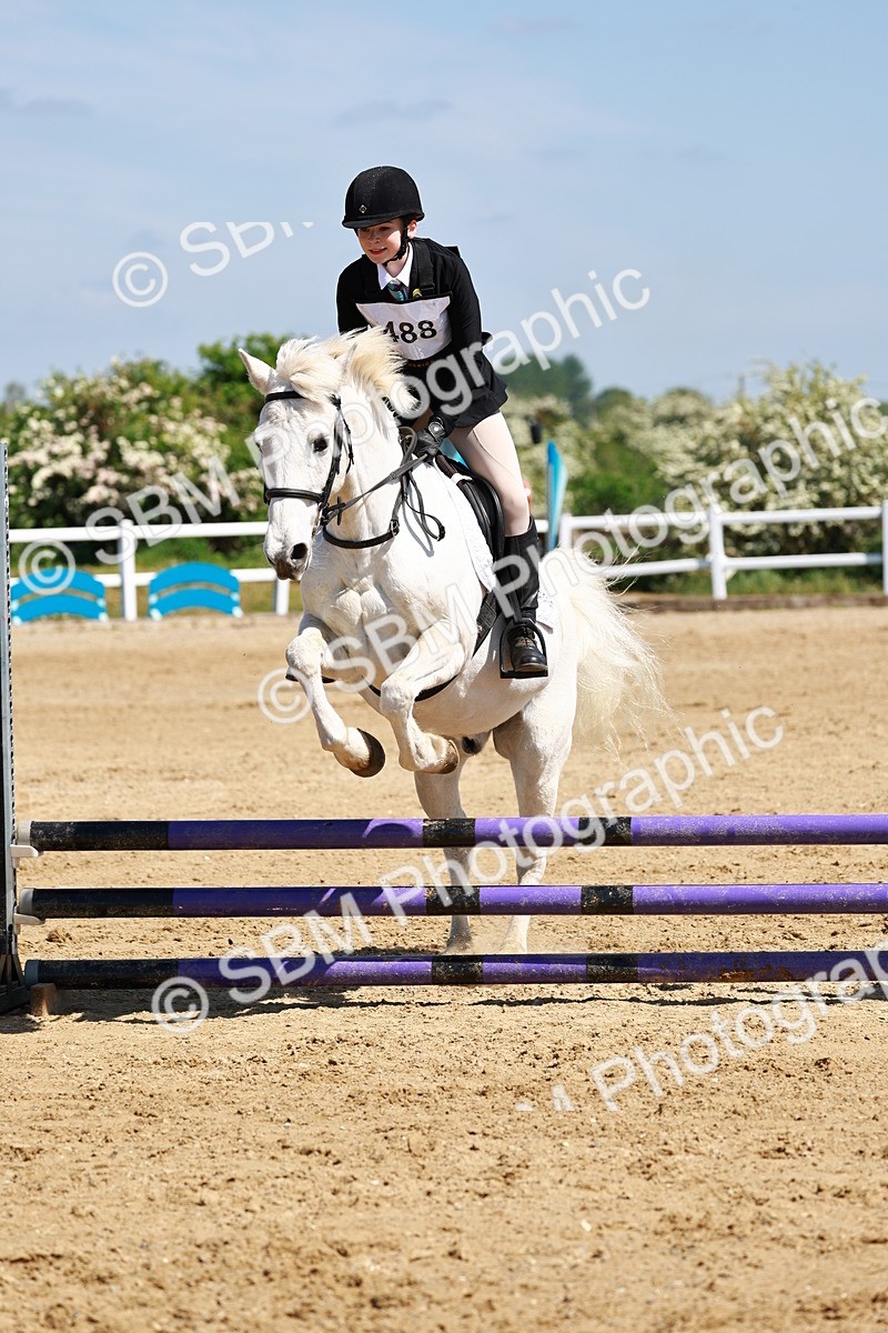 SBM_007661 - Class 3 - 60cm