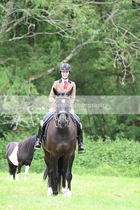 WJ7_4219 - Class 14A Handsome Gelding