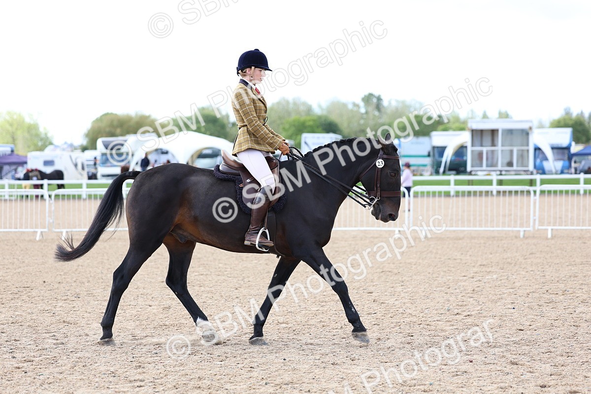 SBM_10079 - Class 304 - Ridden Part Bred Horse Pony