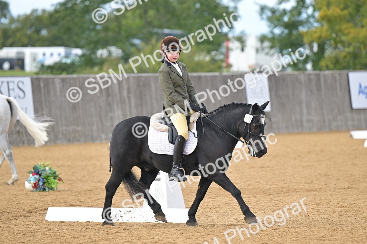 SBM_12883 - D3 - Small Tour Championship Intro 3