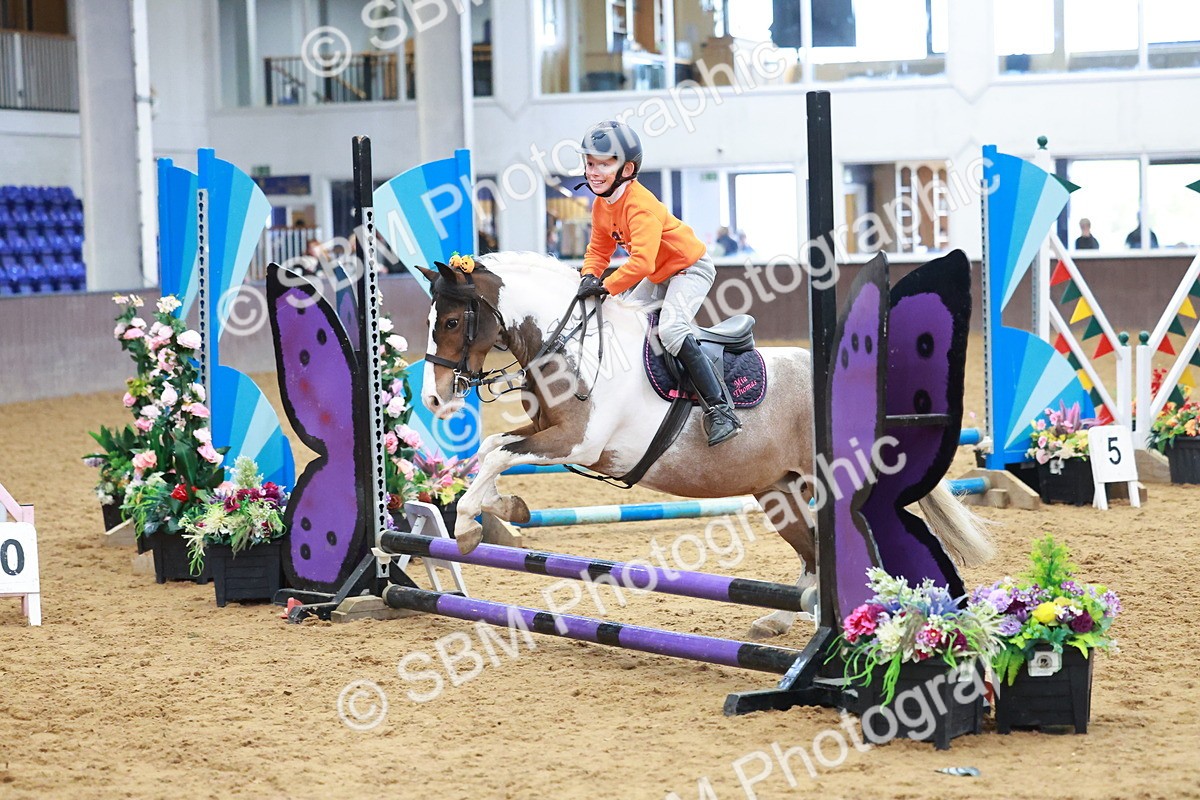 SBM_001699 - Class 3 - Horse & Hound (60cm)