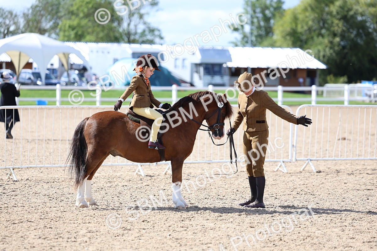 SBM_13022 - Class 309 - Lead Rein Pony