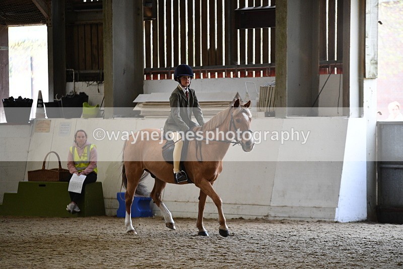 WJ5_6224 - Class 9 Ridden Veteran