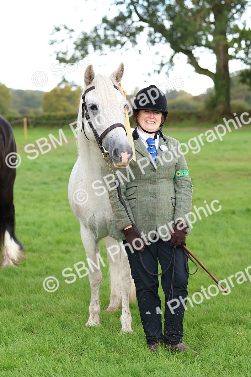 SBM_39377 - S24 - Young Veteran In Hand