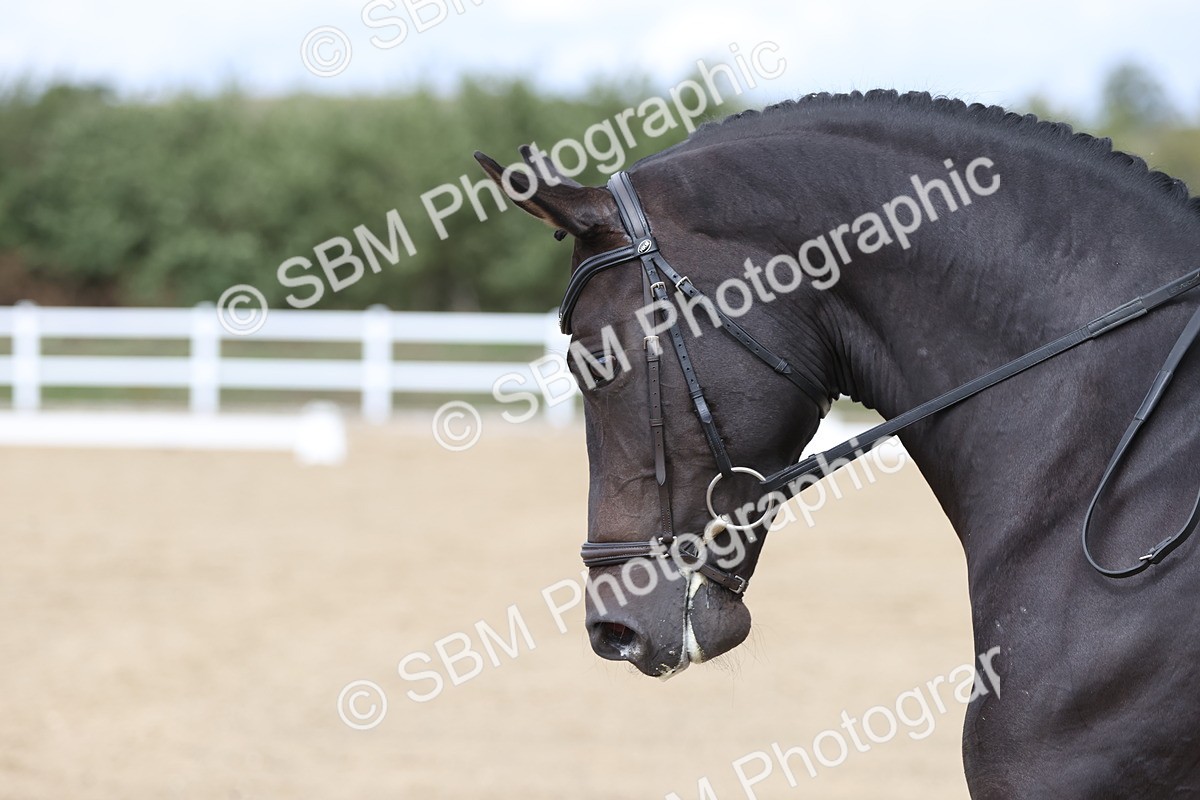SBM_003867 - Class 9 - Novice 3 Champs