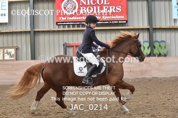JAC_0214 - CLASS 6 Intermediate Show Jumping - (0.70m)
