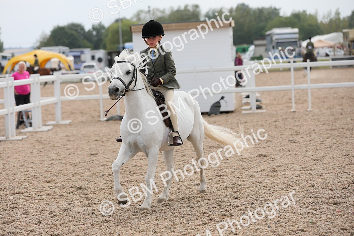 SBM_16934 - Class 314 Family Horse/Pony