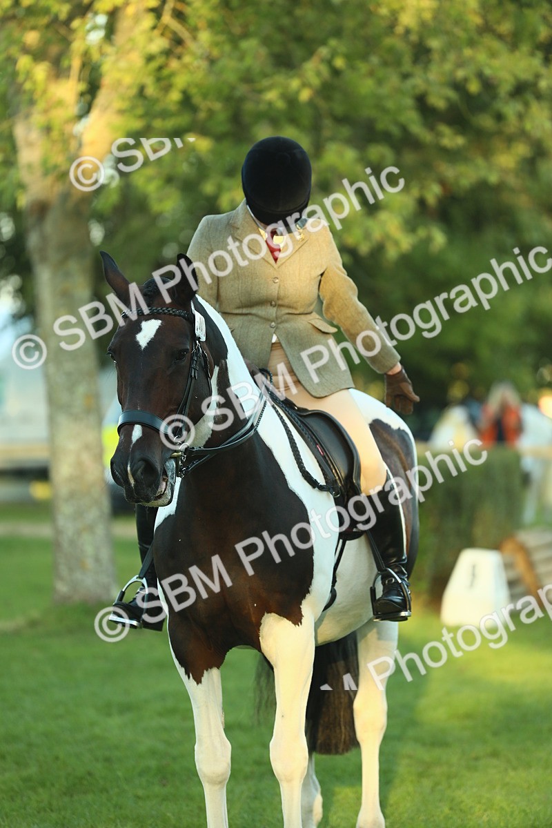 SBM_56506 - S14 - Riding Club Horse