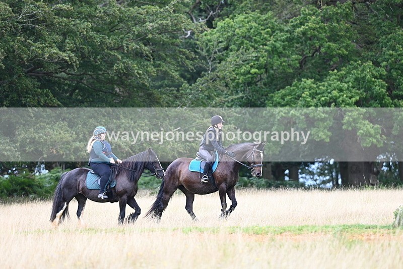 DSC_5112 - Time at Statue 11:10 to 11:42