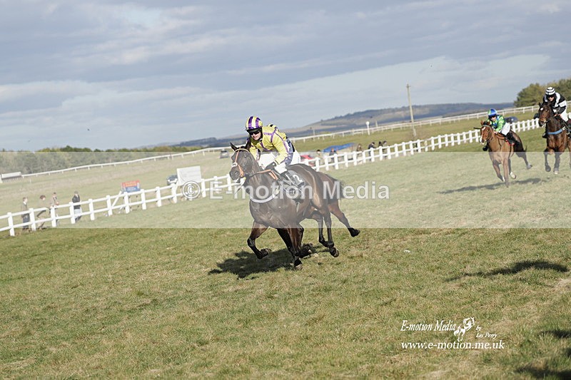PtP 260223 1211 - South & West Wilts Point-to-Point Larkhill 26/02/23