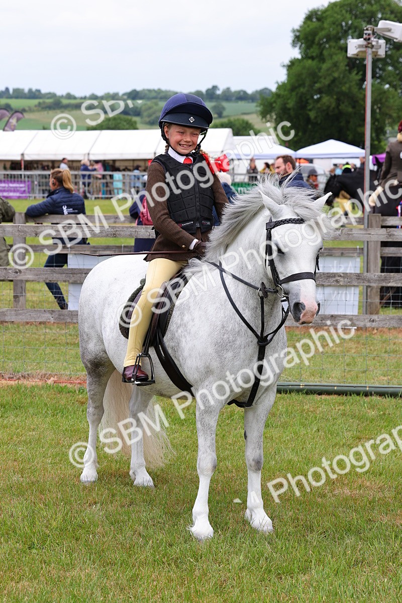 SBM_08789 - Class 42-43 - LIHS BSPS Heritage Working Sports Pony
