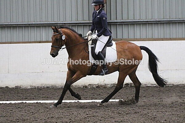 SIAL5594 - CAbin Dressage 5th july 2025