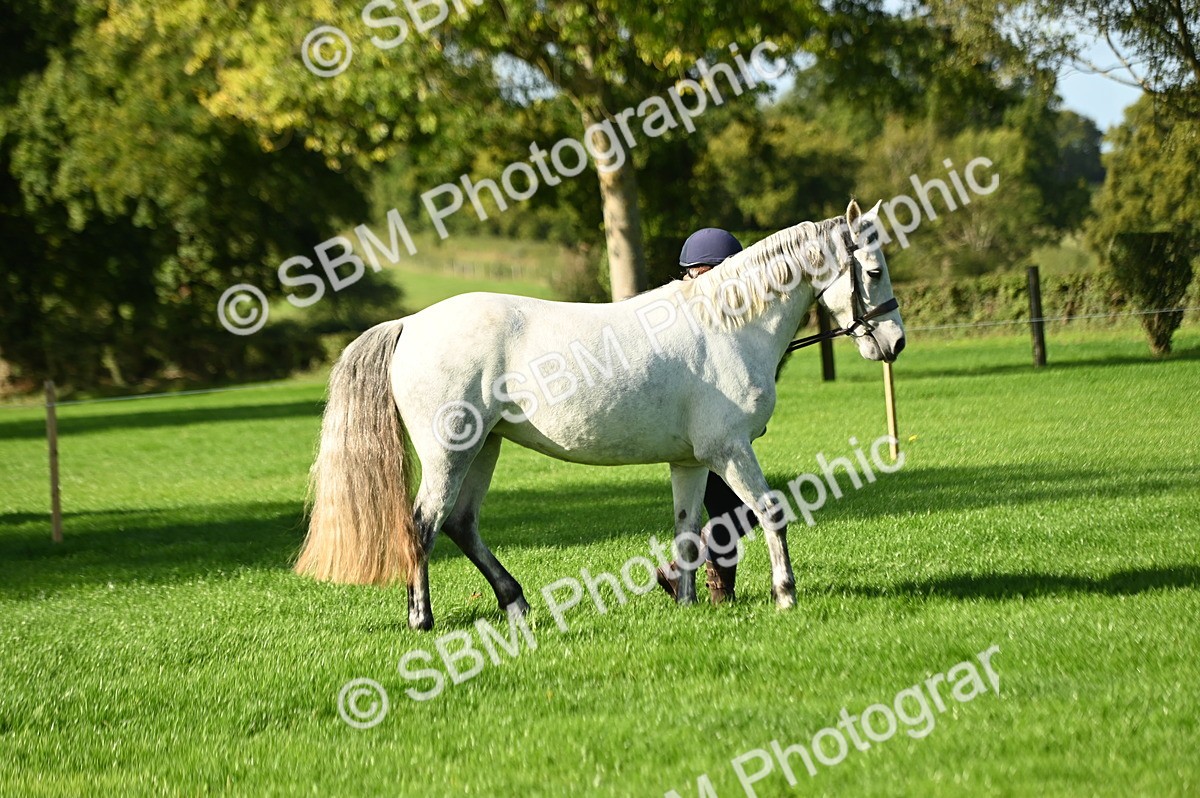 SBM_15825 - S1 - TSR in Hand Horse & Pony Showing