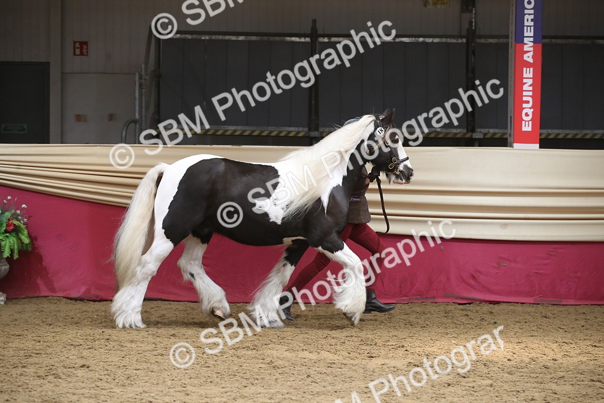 SBM_05558 - Class 9R - Regional IH Pre-Vet