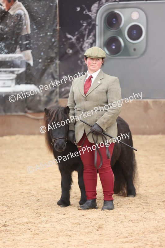 20251109-0342 - Class 13 - Mares 4 Years and Over