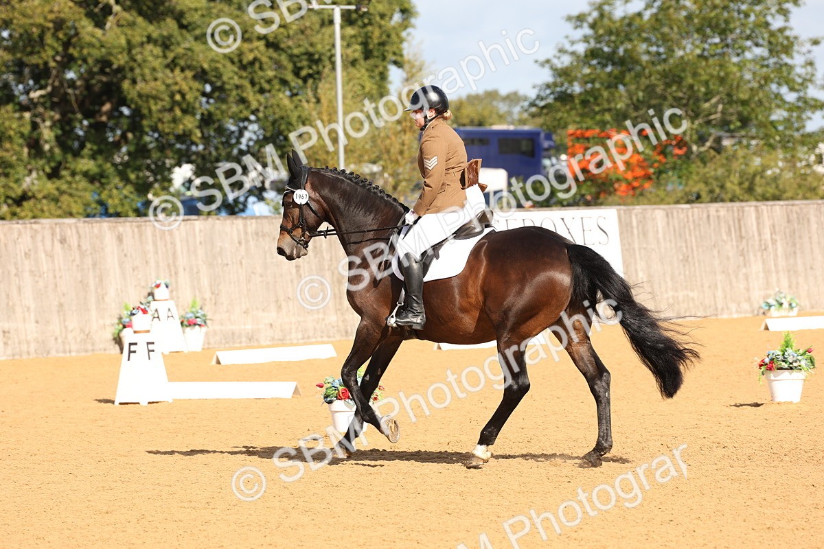 SBM_16240 - D10 - Small Tour Championship Prelim 2