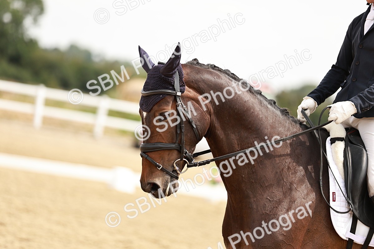 SBM_002979 - Class 6 - Novice 6 Silver - 11.34-12.20