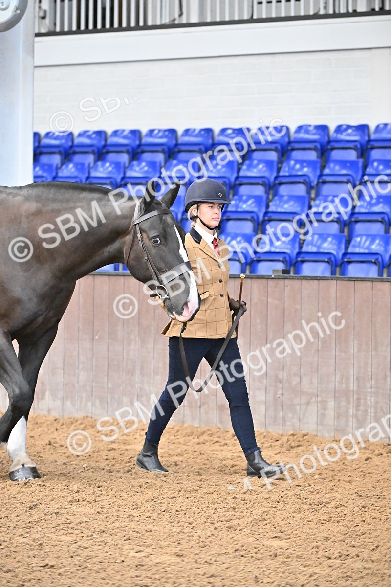 SBM_000063 - Class 4 - BSHA In Hand Show Cob