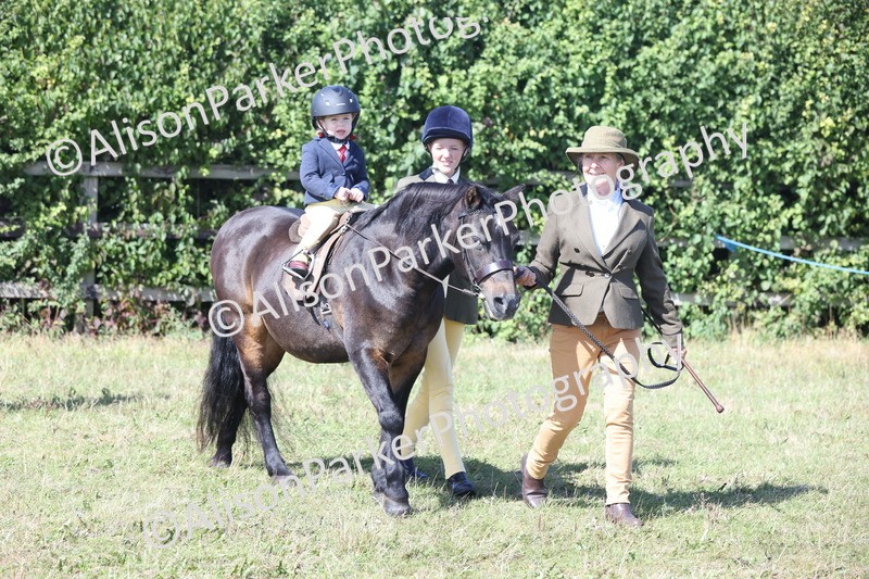 20250831-3156 - Class 24 - Absolute Beginners Pony